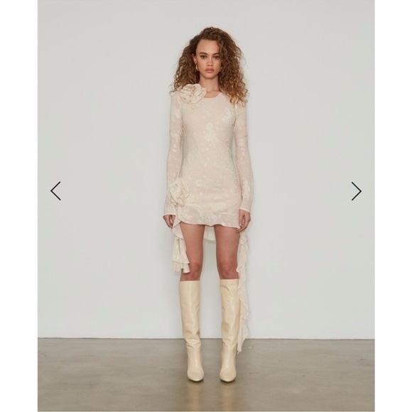 NWT Free People Delfi Kira Dress Long Sleeve Ruffle Flower Cream Medium - Picture 1 of 14